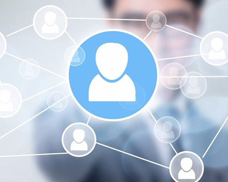 人才引进新政策